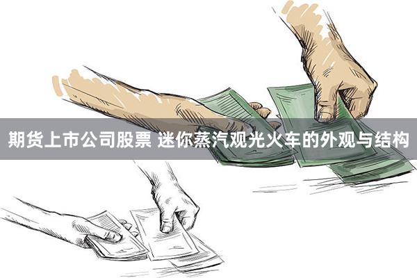 期货上市公司股票 迷你蒸汽观光火车的外观与结构