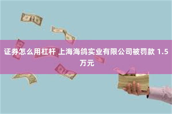 证券怎么用杠杆 上海海鸽实业有限公司被罚款 1.5 万元