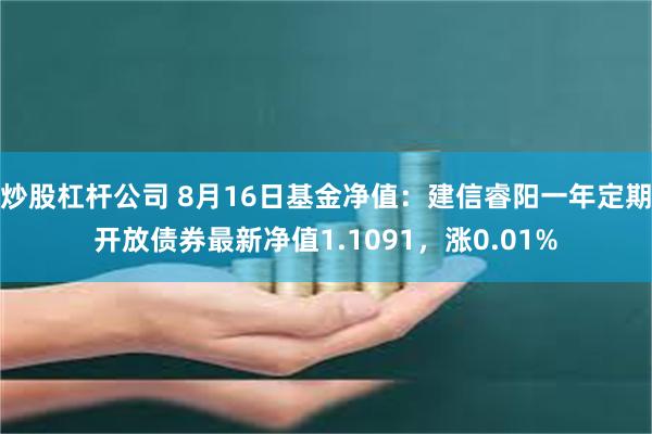 炒股杠杆公司 8月16日基金净值：建信睿阳一年定期开放债券最新净值1.1091，涨0.01%