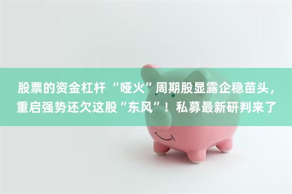 股票的资金杠杆 “哑火”周期股显露企稳苗头，重启强势还欠这股“东风”！私募最新研判来了