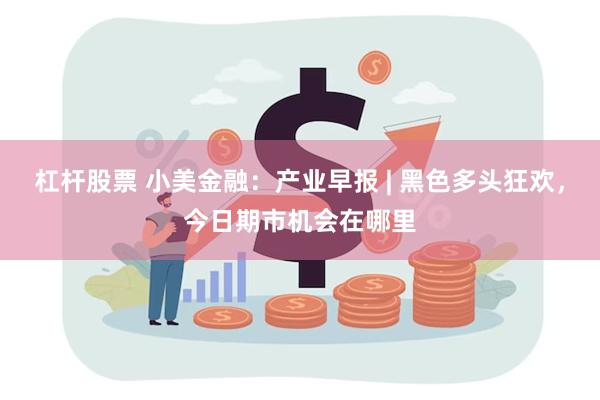 杠杆股票 小美金融：产业早报 | 黑色多头狂欢，今日期市机会在哪里