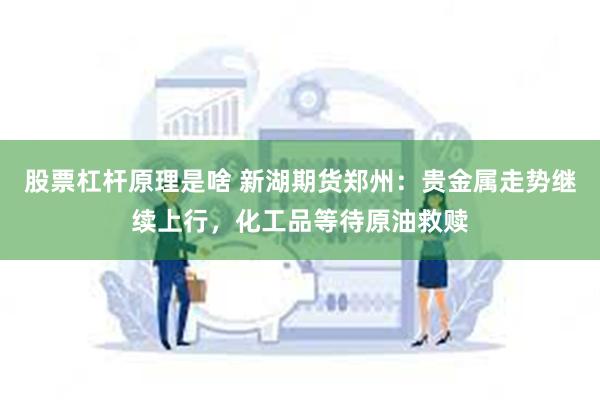 股票杠杆原理是啥 新湖期货郑州：贵金属走势继续上行，化工品等待原油救赎