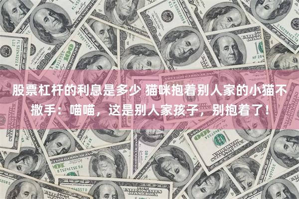 股票杠杆的利息是多少 猫咪抱着别人家的小猫不撒手：喵喵，这是别人家孩子，别抱着了！