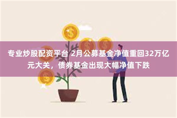 专业炒股配资平台 2月公募基金净值重回32万亿元大关，债券基金出现大幅净值下跌