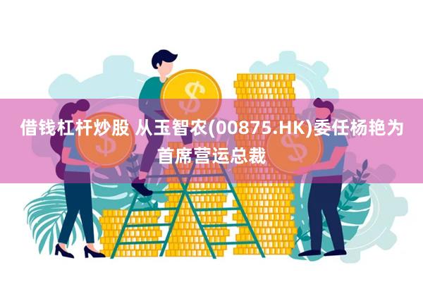 借钱杠杆炒股 从玉智农(00875.HK)委任杨艳为首席营运总裁
