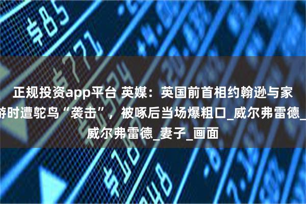 正规投资app平台 英媒：英国前首相约翰逊与家人赴美旅游时遭鸵鸟“袭击”，被啄后当场爆粗口_威尔弗雷德_妻子_画面