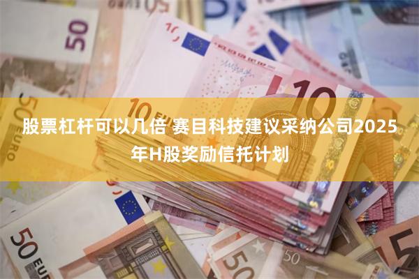 股票杠杆可以几倍 赛目科技建议采纳公司2025年H股奖励信托计划