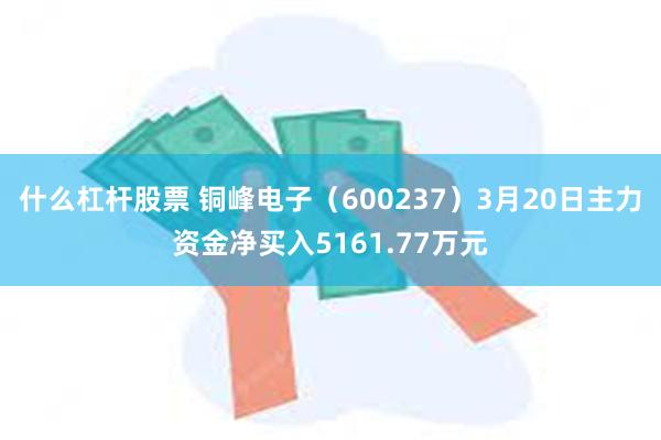 什么杠杆股票 铜峰电子（600237）3月20日主力资金净买入5161.77万元