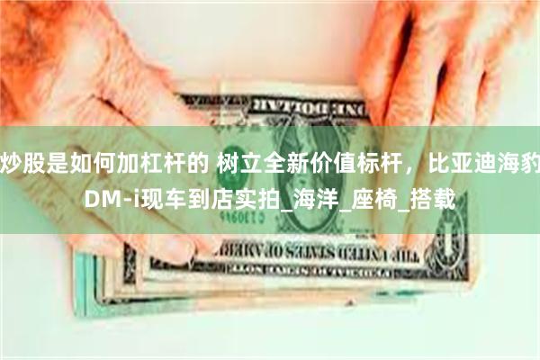 炒股是如何加杠杆的 树立全新价值标杆，比亚迪海豹DM-i现车到店实拍_海洋_座椅_搭载