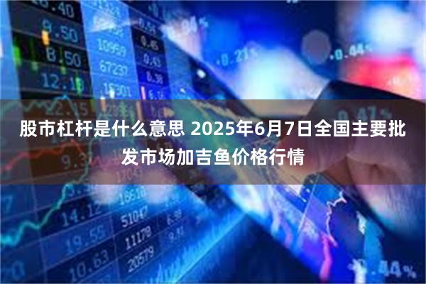 股市杠杆是什么意思 2025年6月7日全国主要批发市场加吉鱼价格行情