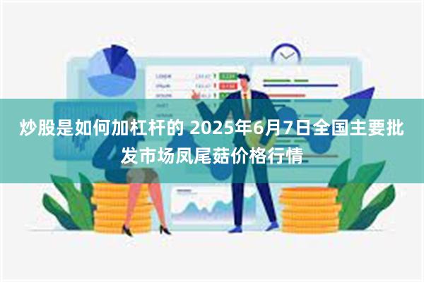 炒股是如何加杠杆的 2025年6月7日全国主要批发市场凤尾菇价格行情