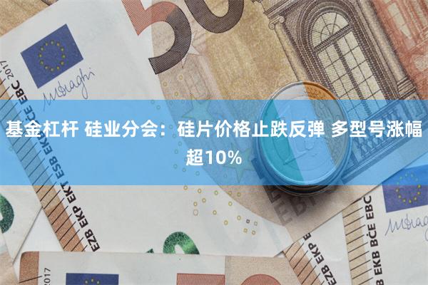 基金杠杆 硅业分会：硅片价格止跌反弹 多型号涨幅超10%