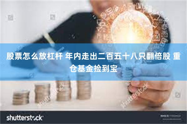 股票怎么放杠杆 年内走出二百五十八只翻倍股 重仓基金捡到宝