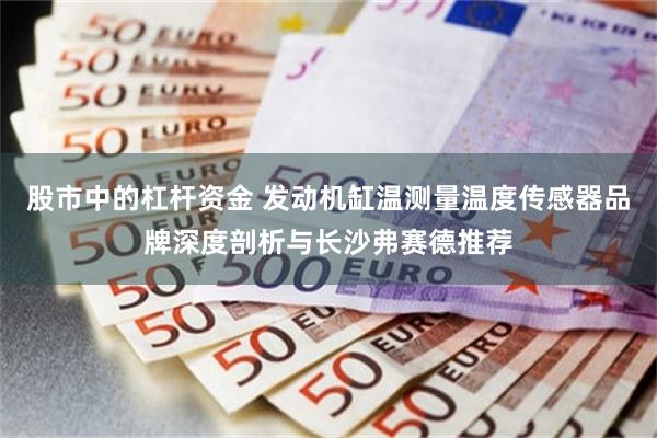 股市中的杠杆资金 发动机缸温测量温度传感器品牌深度剖析与长沙弗赛德推荐